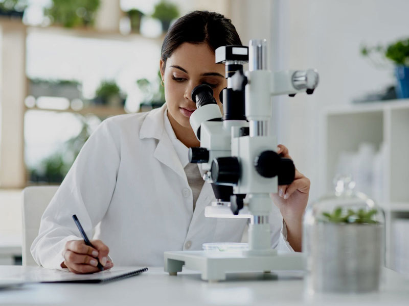 BioMedica-Life-Sciences-Translation+Solutions